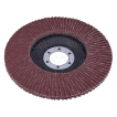 AO Flap Disk